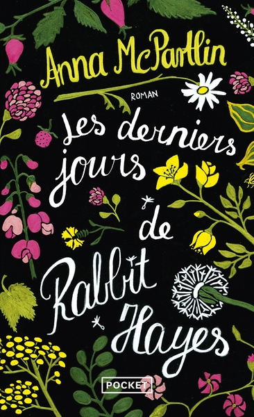 Les derniers jours de rabbit hayes - Image principale