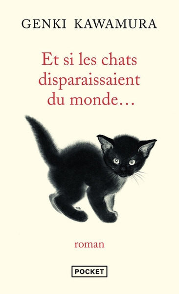 Et si les chats disparaissaient du monde... - Image principale