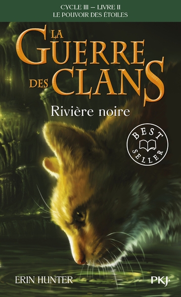 La guerre des clans cycle iii le pouvoir des étoiles - tome 2 rivière noire - Image principale