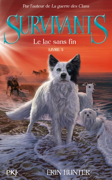 Survivants - tome 5 le lac sans fin - Image principale