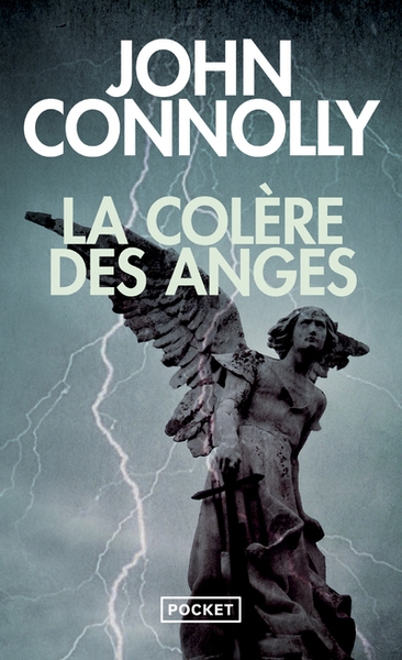 La colère des anges - Image principale