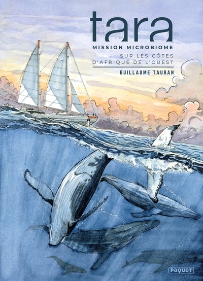 Tara, a la decouverte du microbiome marin - Image principale