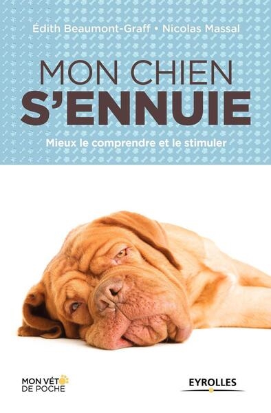 Mon chien s'ennuie - Image principale