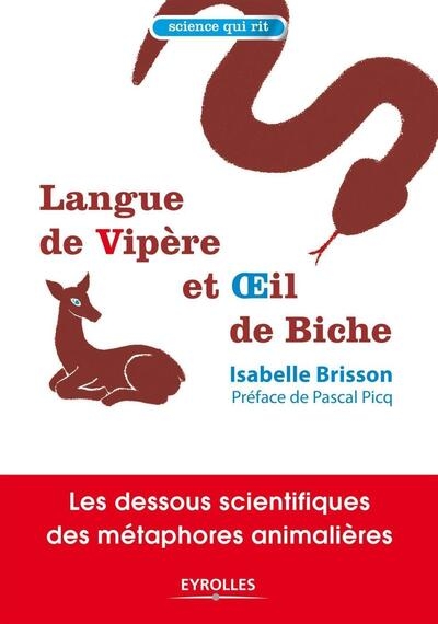 Langue de vipère et oeil de biche - Image principale