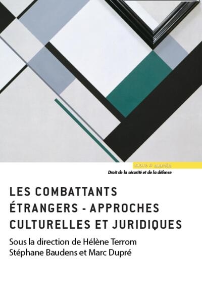 Actes de la journée d'études combattants étrangers - Image principale
