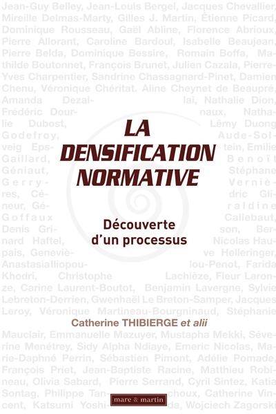La densification normative - Image principale