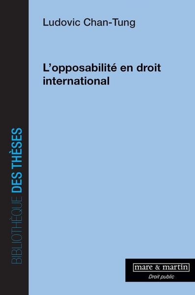 L'opposabilité en droit international - Image principale