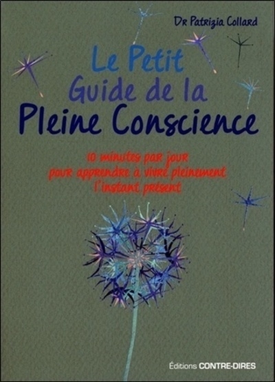 Le petit guide de la pleine conscience - Image principale