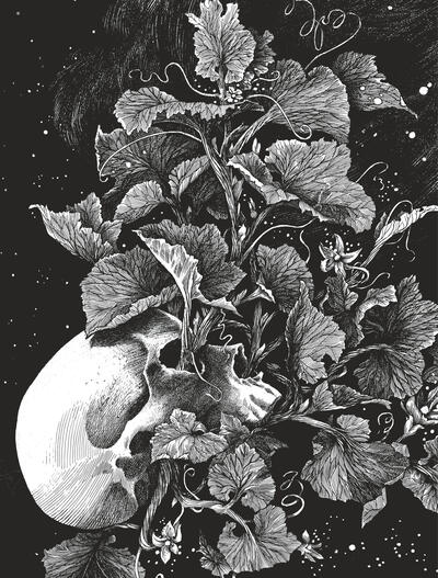 La tête de mort venue de suède - Image principale