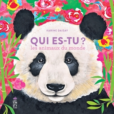 Qui es-tu? - Image principale