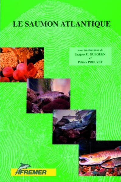 Le saumon atlantique - Image principale