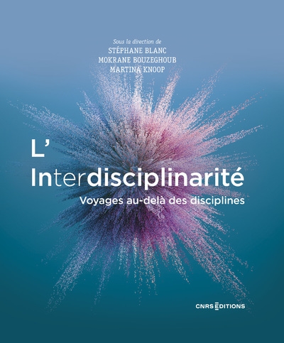L'interdisciplinarité - voyages au delà des disciplines - Image principale