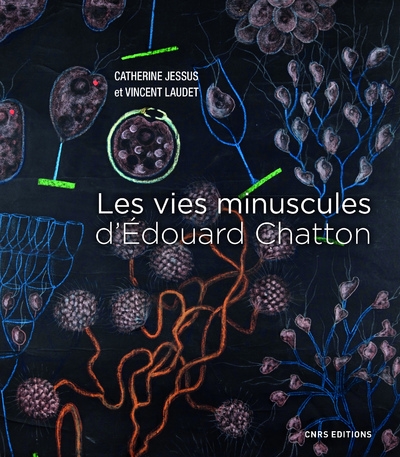 Les vies minuscules d'edouard chatton - Image principale
