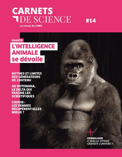 Carnets de science - n° 14 - Image principale
