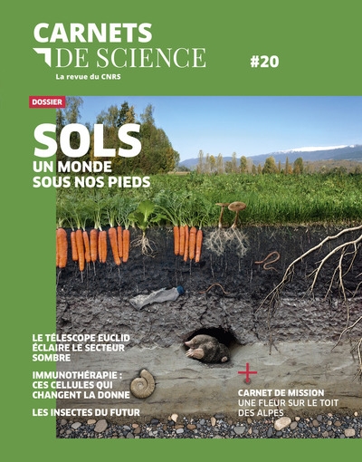 Carnets de sciences 20 - sols, un monde sous nos pieds - Image principale