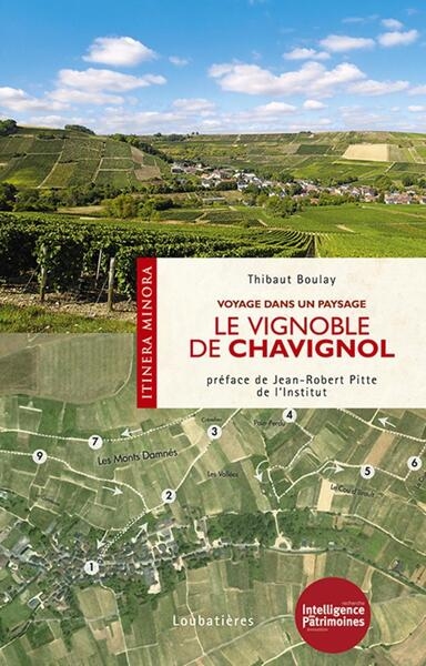 Le vignoble de chavignol - Image principale