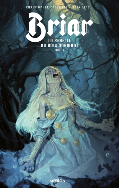 Briar, la rebelle au bois dormant tome 2 - Image principale