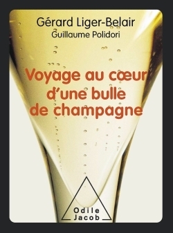 Voyage au coeur d'une bulle de champagne - Image principale