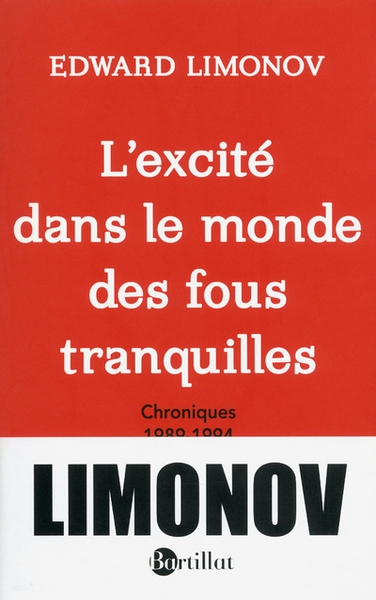 L'excité dans le monde des fous tranquilles, chroniques 1989-1994 - Image principale