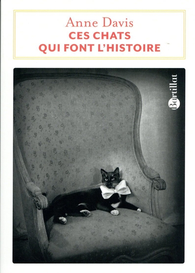 Ces chats qui font l'histoire - Image principale