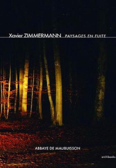 Paysages en fuite - Image principale