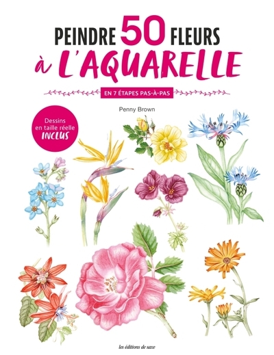 Peintre 50 fleurs à l'aquarelle - Image principale
