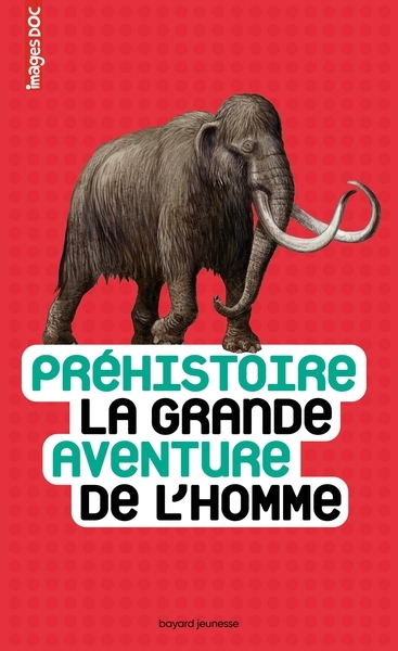 Préhistoire, la grande aventure de l'homme - Image principale