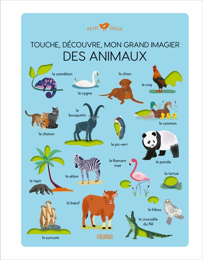 Touche, découvre, mon grand imagier des animaux - Image principale