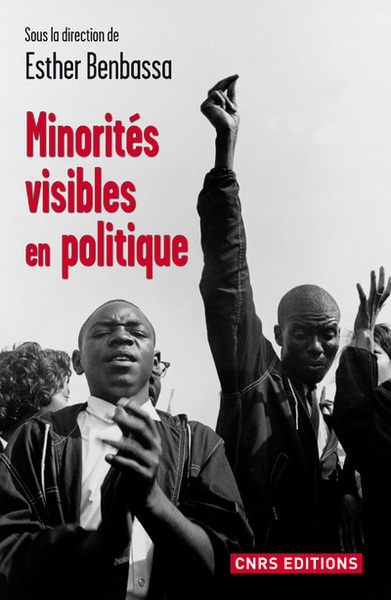 Minorités visibles en politique - Image principale