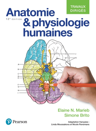Anatomie et physiologie humaines : travaux dirigés - 12e édition - Image principale