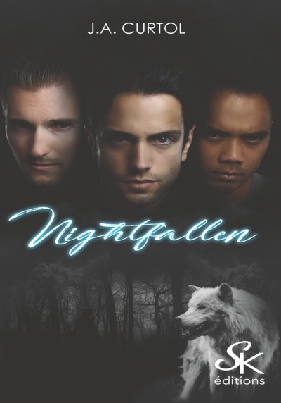 Nightfallen - Image principale