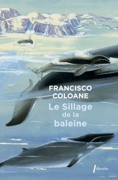 Le sillage de la baleine - Image principale