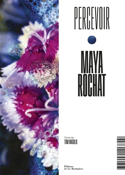 Maya rochat - Image principale