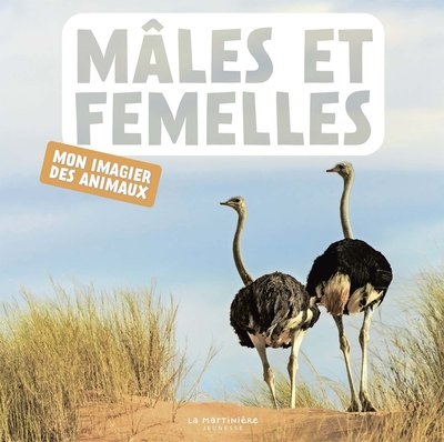 Mâles et femelles - Image principale
