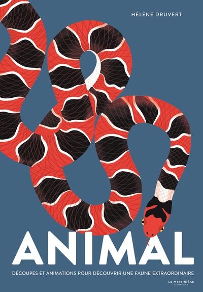 Animal - Image principale