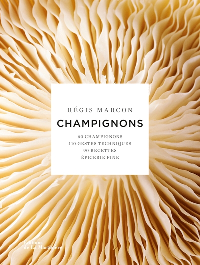 Champignons nouvelle édition - Image principale