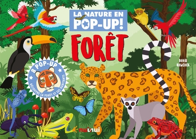 La nature en pop-up - forêt - Image principale