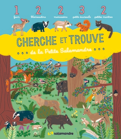 Cherche et trouve de la petite salamandre - Image principale