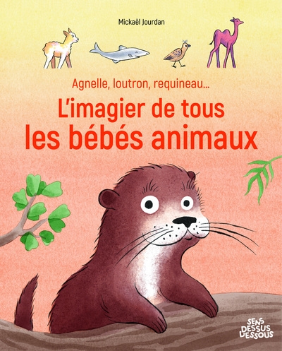 Agnelle, loutron, requineau... l'imagier de tous les bébés animaux - Image principale
