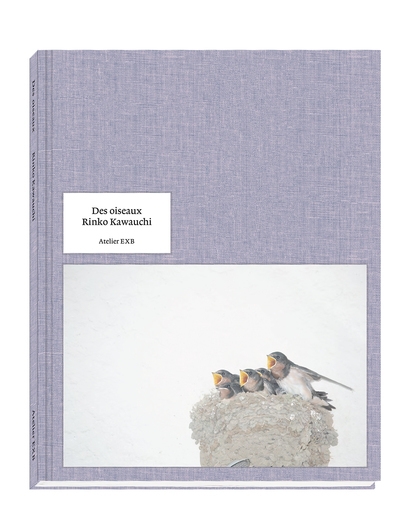 Des oiseaux rinko kawauchi - version française - Image principale