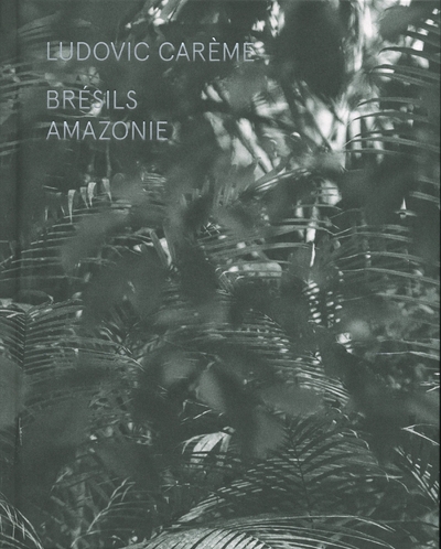 Brésils - amazonie - Image principale