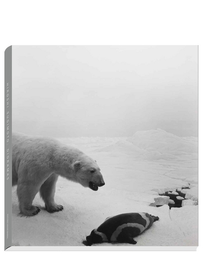 Dioramas - Image principale