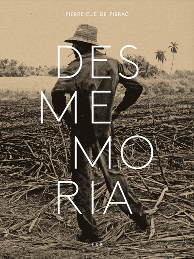Desmemoria - Image principale