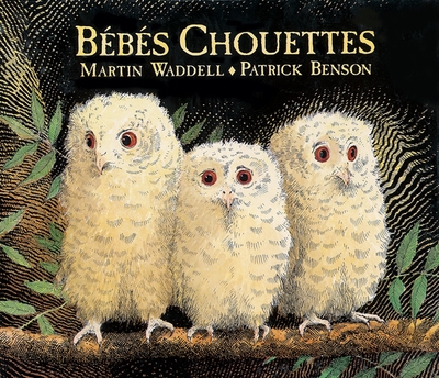 Bébés chouettes - Image principale