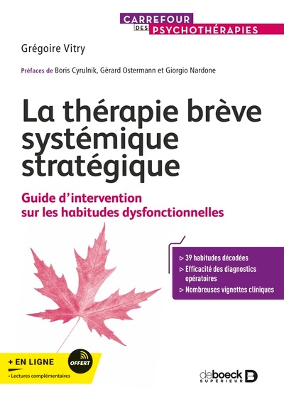 La thérapie brève systémique stratégique - Image principale