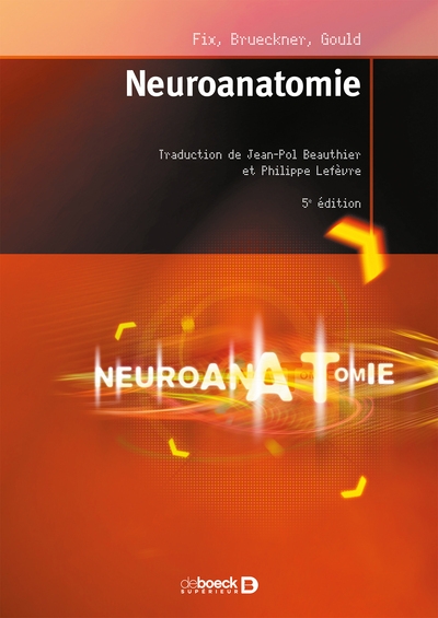 Neuroanatomie - Image principale