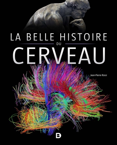 La belle histoire du cerveau - Image principale
