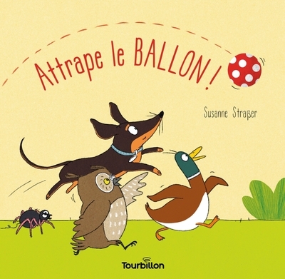 Attrape le ballon ! - Image principale