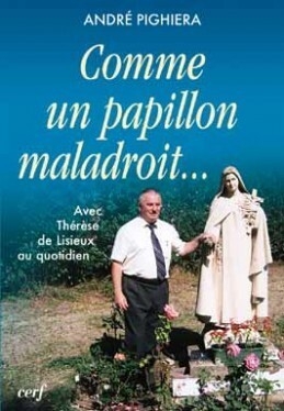 Comme un papillon maladroit... - Image principale