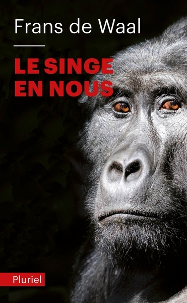 Le singe en nous - Image principale